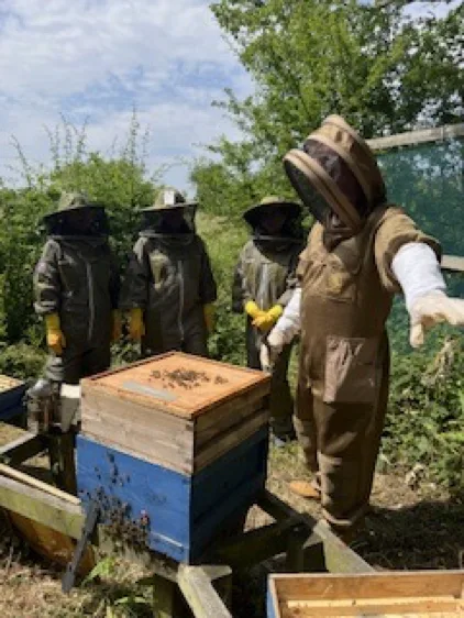 Beekeepers in protective suits gathered around a hive in the apiary.